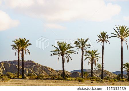Sierra Alhamilla landscape, Spain. 115333289