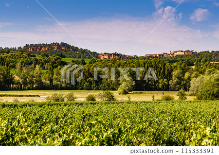 Vineyards and Roussillon on horizon, Provence France Vineyards and Roussillon on horizon, Provence France 115333391