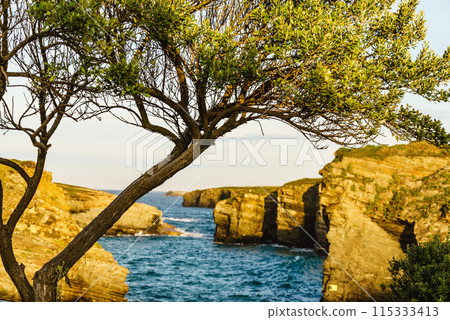 Cathedrals Beach in Galicia Spain. Cathedrals Beach in Galicia Spain. 115333413