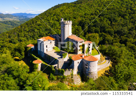 Aerial view of Branik Castle, Slovenia 115333541