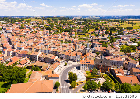 Flight over the city Craponne-sur-Arzon on day. France 115333599