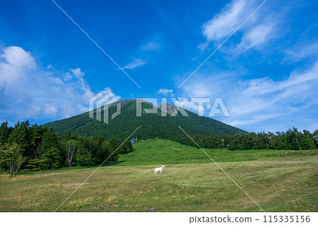 日本鳥取縣大山美景 日本鳥取縣大山美景 115335156