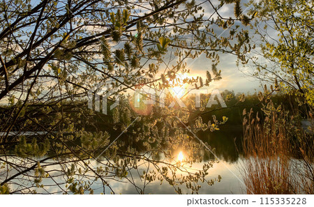 Sunset Over Tranquil Lake with Spring Blossoms and Trees reflects the beauty of the evening sky Sunset Over Tranquil Lake with Spring Blossoms and Trees reflects the beauty of the evening sky 115335228