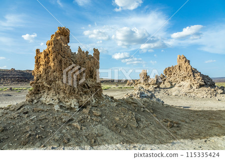 Prehistoric chimneys mineral rock formations, former bottom of the salt lake Abbe, Dikhil region, Djibouti Prehistoric chimneys mineral rock formations, former bottom of the salt lake Abbe, Dikhil region, Djibouti 115335424