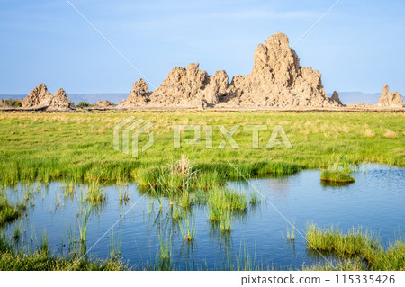Limestone prehistoric chimneys geological rock formations, salt lake Abbe, Dikhil region, Djibouti Limestone prehistoric chimneys geological rock formations, salt lake Abbe, Dikhil region, Djibouti 115335426