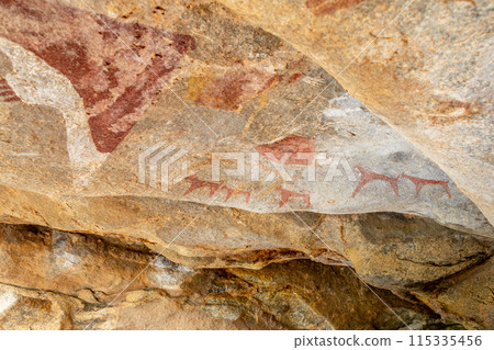 Ancient tribal rock artwork primitive carvings of several hunting dogs, Laas Geel, Maroodi Jeex, Hargeisa, Somaliland 115335456