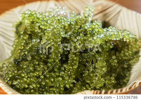 Crunchy sea grapes 115336786