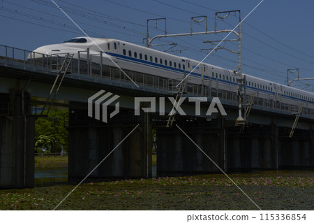 子彈頭列車 115336854