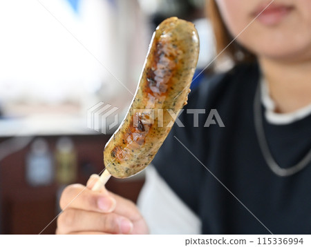 露營車之旅,B級美食,奇瓦瓦凝視法蘭克福 露營車之旅,B級美食,奇瓦瓦凝視法蘭克福 115336994