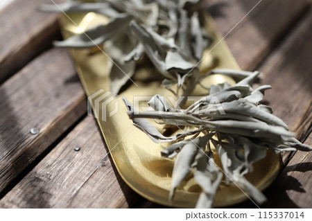 無農藥白鼠尾草用樹枝塗抹草本 115337014