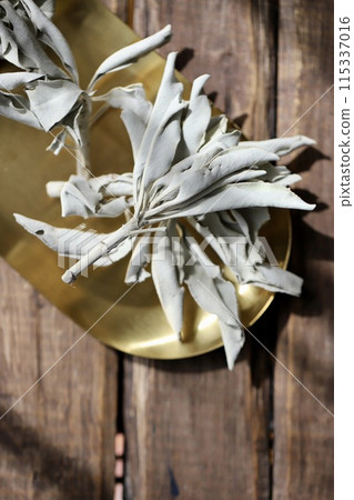 無農藥白鼠尾草用樹枝塗抹草本 115337016