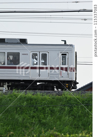 夏季在堤防上行駛的東武伊勢崎線通勤列車 115337083