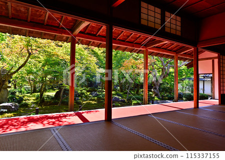 The garden as seen from the Shoin at Enkoji Temple The garden as seen from the Shoin at Enkoji Temple 115337155