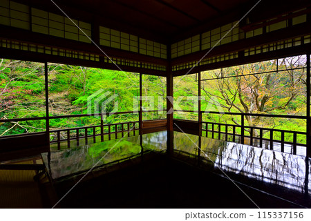 從琉璃光院書院看到的庭園 115337156