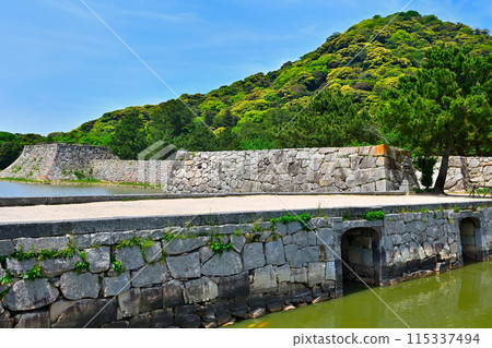 Hagi Castle 115337494