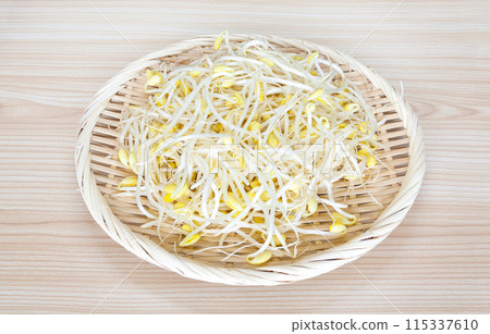 Bean sprouts in a colander, bean sprouts in a colander 115337610