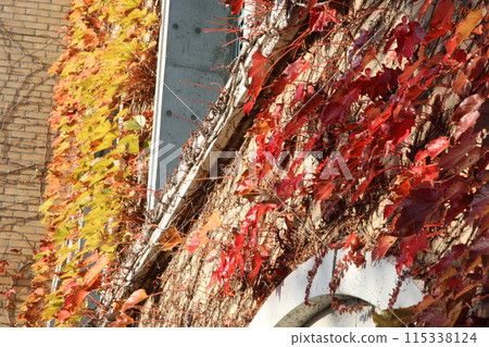 11月 阪神甲子園球場三壘側 11月 阪神甲子園球場三壘側 115338124