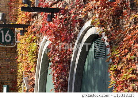 甲子園體育場被秋葉覆蓋 甲子園體育場被秋葉覆蓋 115338125