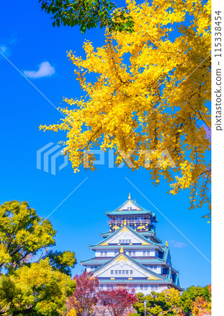 秋天的大阪城 115338454