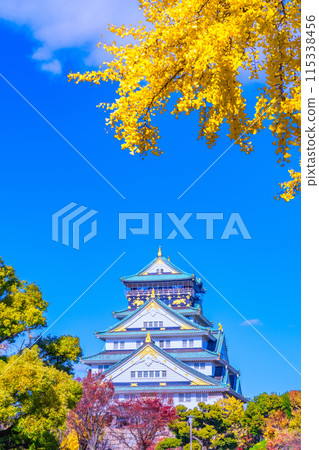Osaka Castle in Autumn 115338456