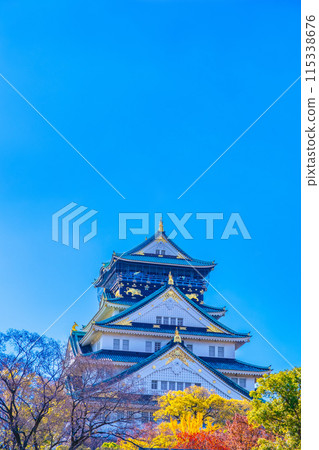 Osaka Castle in Autumn 115338676