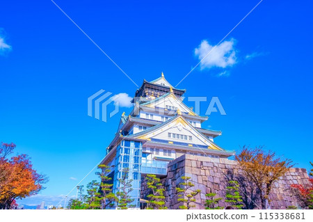 Osaka Castle in Autumn 115338681