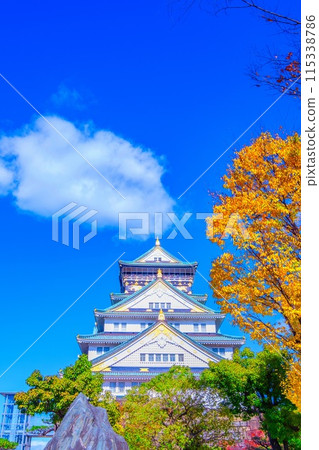 Osaka Castle in Autumn 115338786