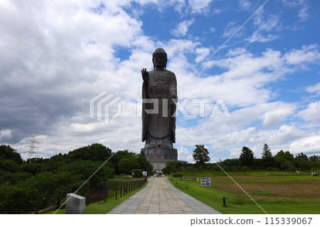 The front of the Ushiku Daibutsu seen from the Hatsuimon Gate 115339067