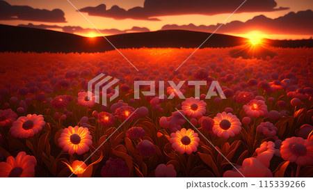 Sunset Field flower background 3d wallpaper Sunset Field flower background 3d wallpaper 115339266