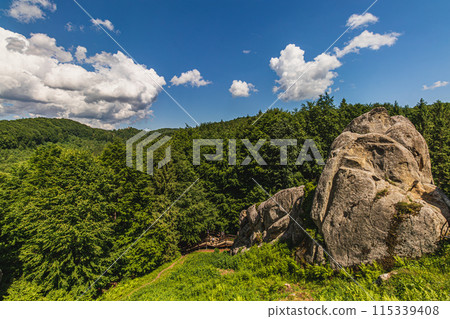a rocks in Tustan fortress place Skole Beskids National Nature Park Lviv region a rocks in Tustan fortress place Skole Beskids National Nature Park Lviv region 115339408