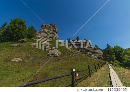 a rocks in Tustan fortress place Skole Beskids National Nature Park Lviv region a rocks in Tustan fortress place Skole Beskids National Nature Park Lviv region 115339465