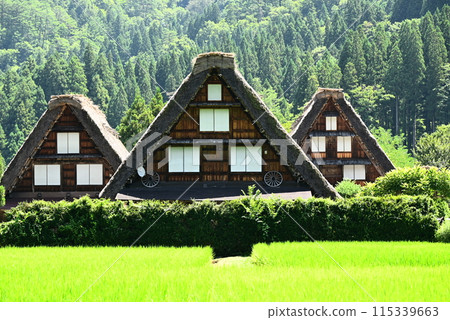 世界遺產，合掌風格和鄉村 115339663