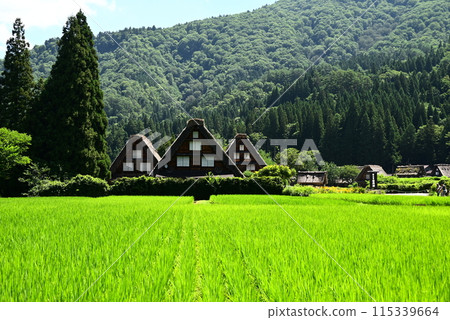 世界遺產，合掌風格和鄉村 115339664
