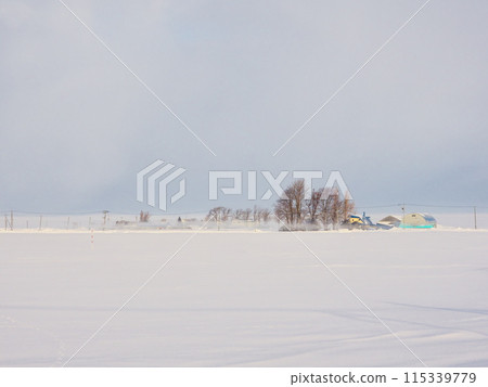 Iwamizawa, Hokkaido in winter: Snow fields hazy with diamond dust Iwamizawa, Hokkaido in winter: Snow fields hazy with diamond dust 115339779