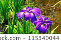 Flower shovel 115340044