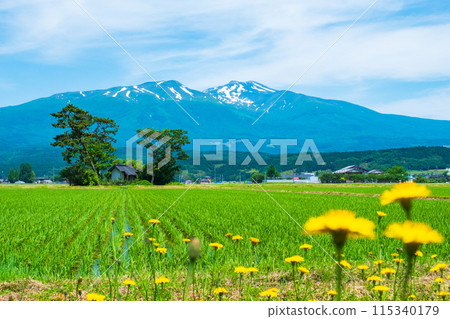 Mt. Chokai as seen from Yuza Town 115340179