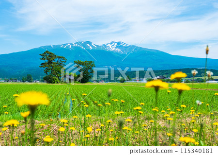 Mt. Chokai as seen from Yuza Town Mt. Chokai as seen from Yuza Town 115340181