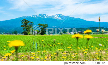 Mt. Chokai as seen from Yuza Town 115340184