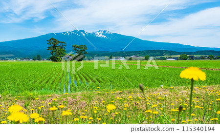 Mt. Chokai as seen from Yuza Town 115340194