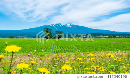 從遊座町眺望鳥海山 115340196