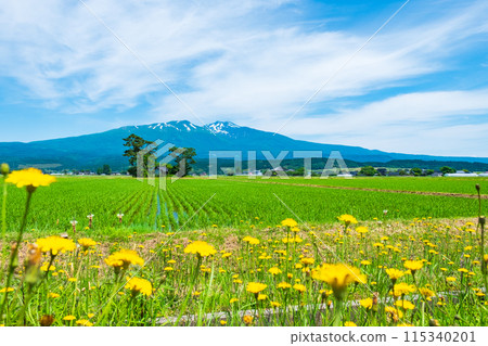Mt. Chokai as seen from Yuza Town 115340201