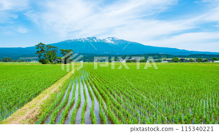 Mt. Chokai as seen from Yuza Town Mt. Chokai as seen from Yuza Town 115340221