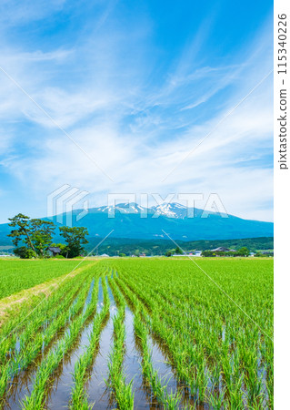 從遊座町眺望鳥海山 115340226