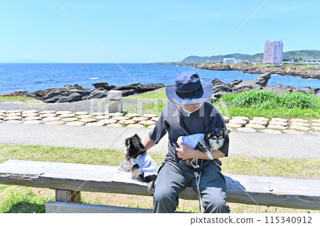 A male owner walking his two Chihuahuas while looking out at the sea 115340912