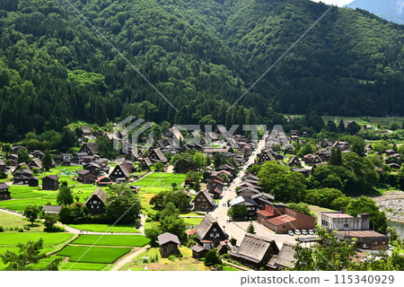 View of Shirakawa-go in summer 115340929
