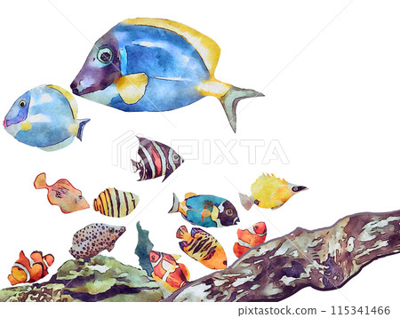 watercolor tropical fish watercolor tropical fish 115341466