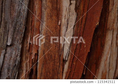 Hinoki bark Hinoki bark 115341511