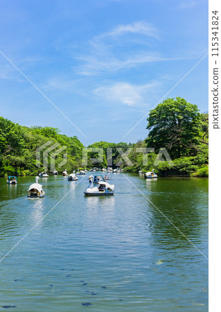 Kichijoji Holiday Inokashira Park 115341824
