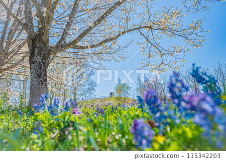 Scenery of Mikasayama Natural Park, Hokkaido 115342203