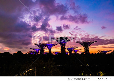 Singapore: Gardens by the Bay in the morning 115342308